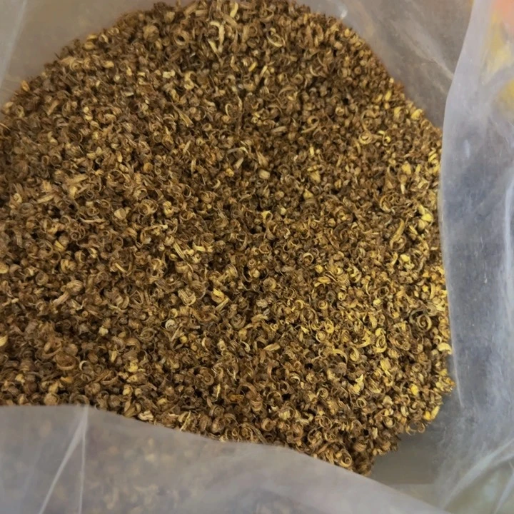 往***生沉香碎屑沉香海南黄棋楠抛丝