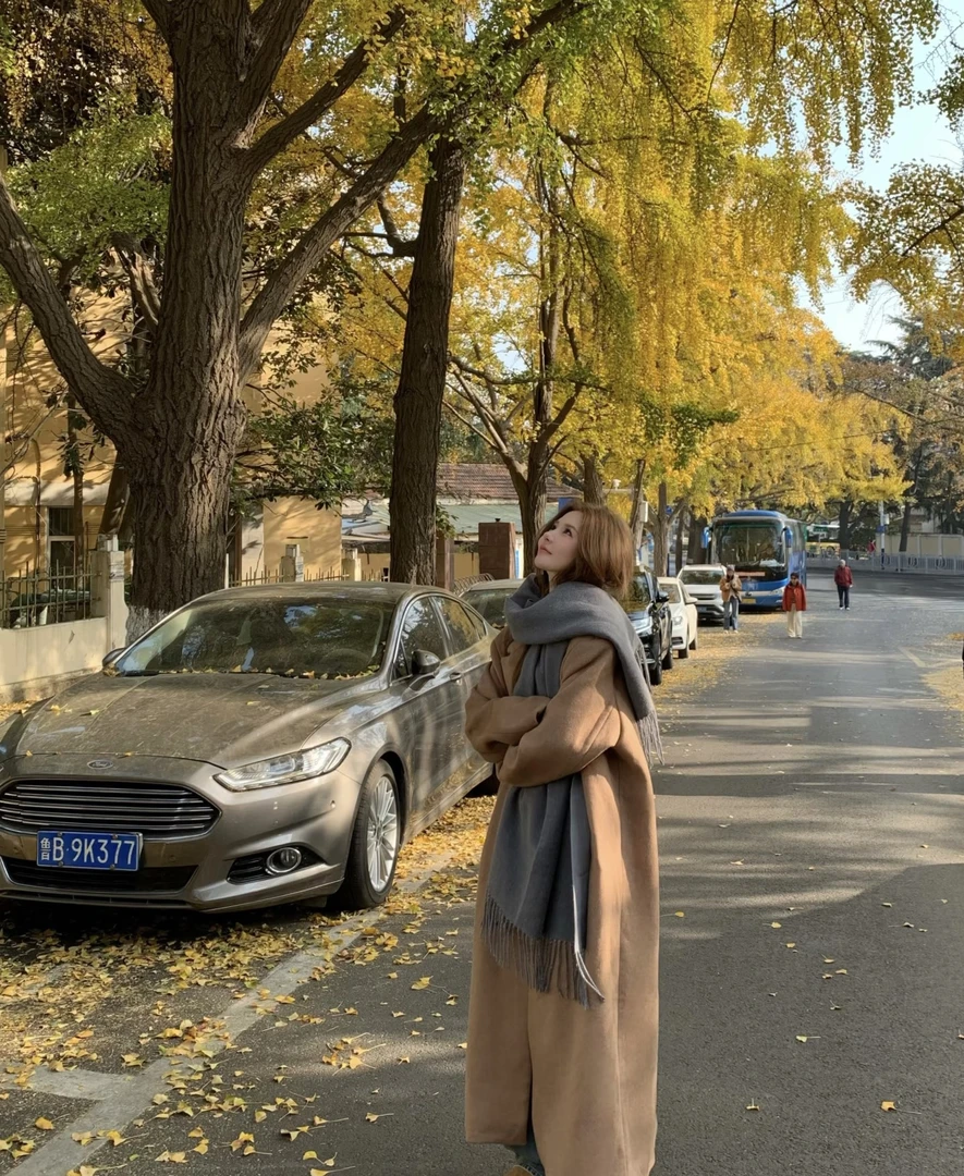 【100山羊绒鼎鼎版本】内蒙古源头工厂直发 双面双色提花