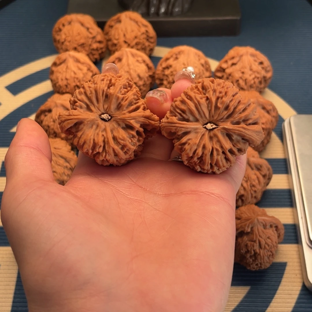 白***纸核桃运费自理南疆石核桃