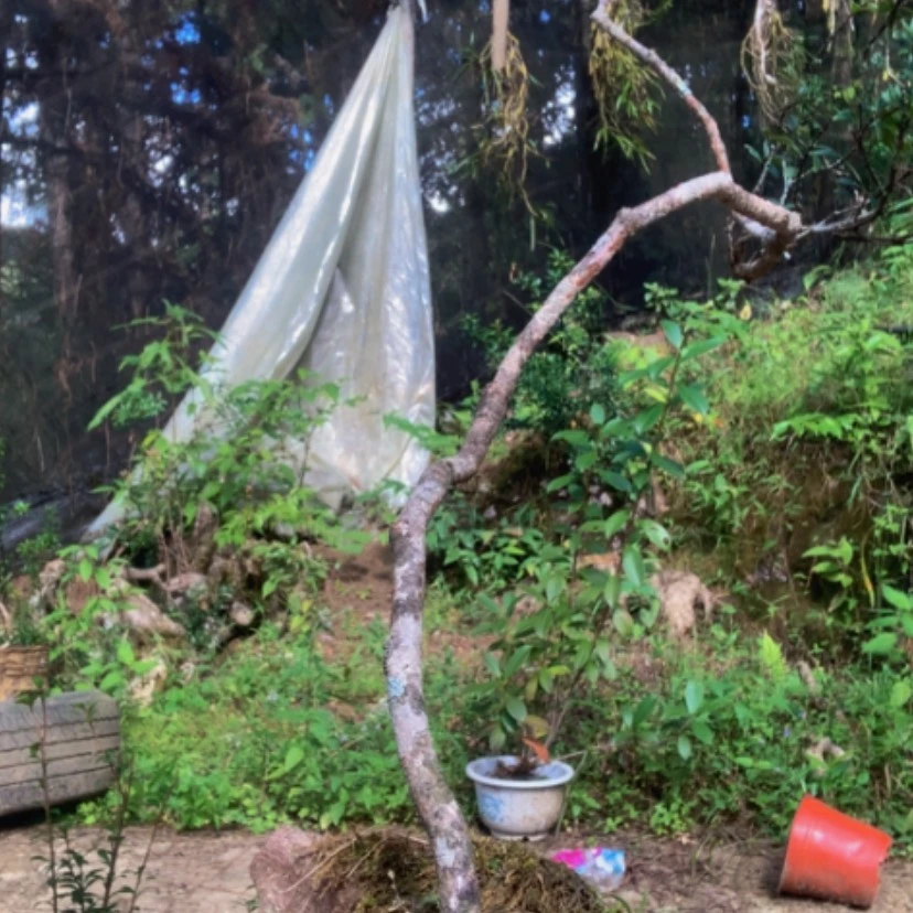 【闪购商品】完全开放