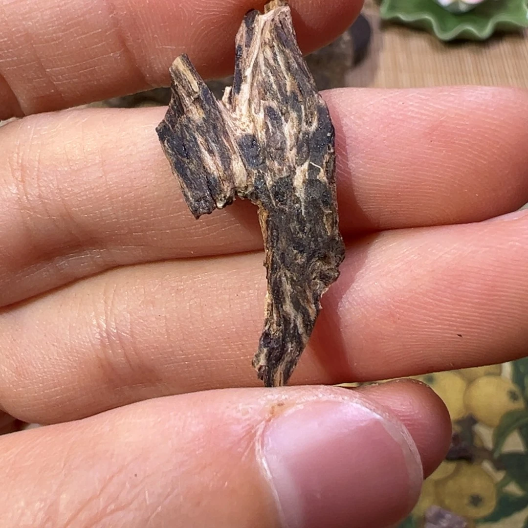 【闪购商品】香榧木海南木料大山沉水兰花结紫棋0.3克