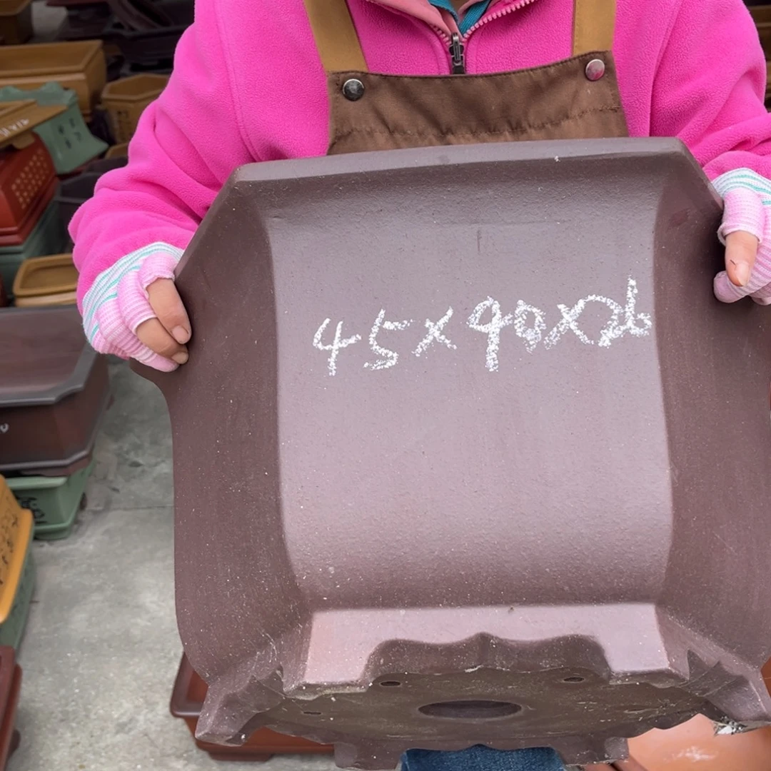 紫砂花盆盆景艺术