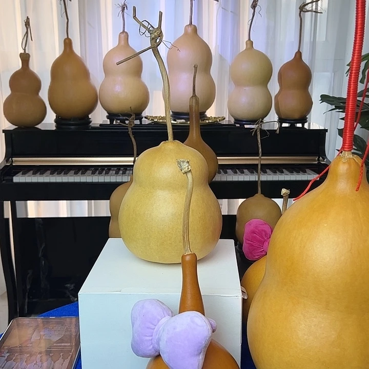 淇****大叶紫檀（黑酸枝木类）