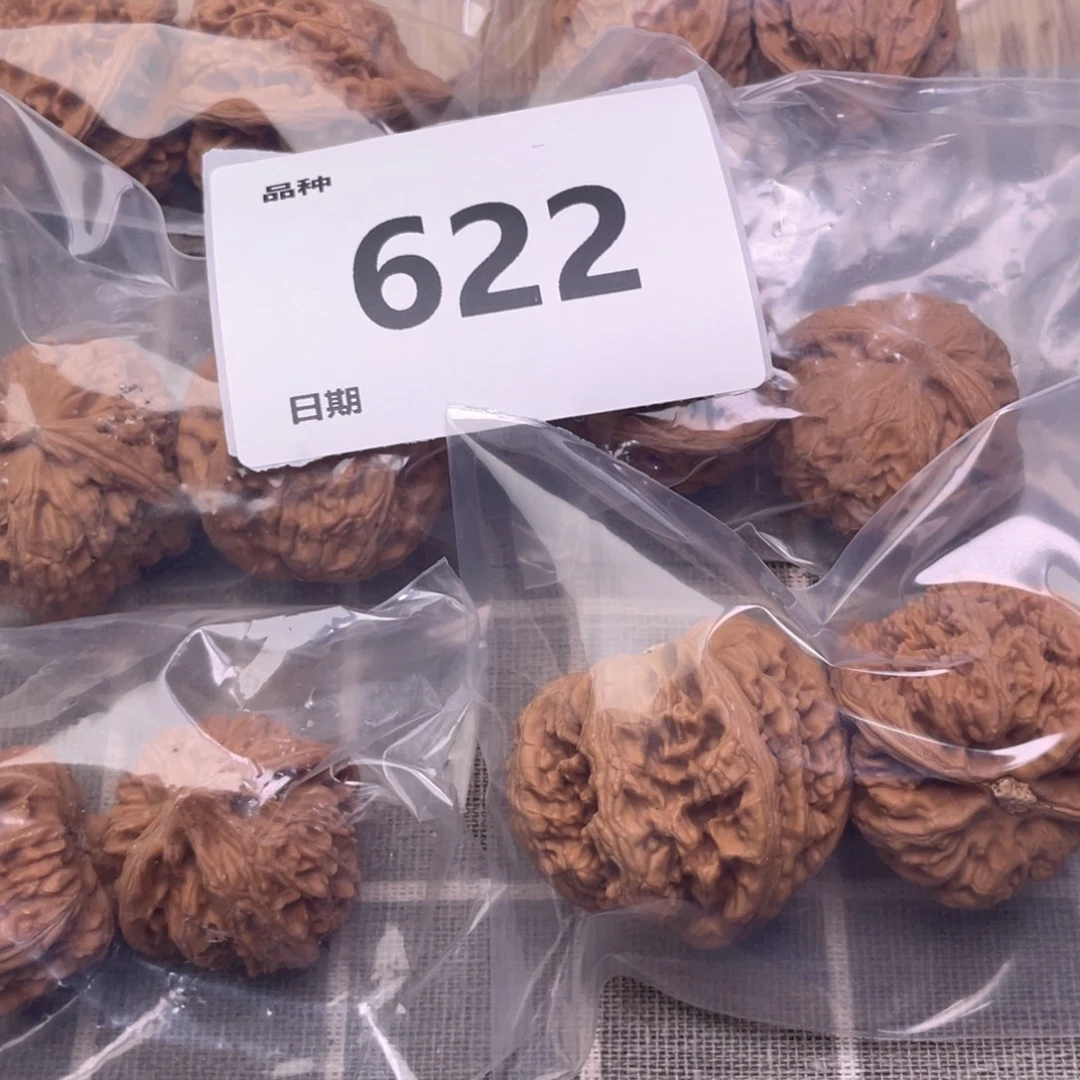 把件文玩核桃622号6对带粗筋鹰嘴