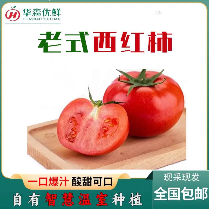 老式西红柿，大仔沙瓤自然成熟多汁新鲜可生吃