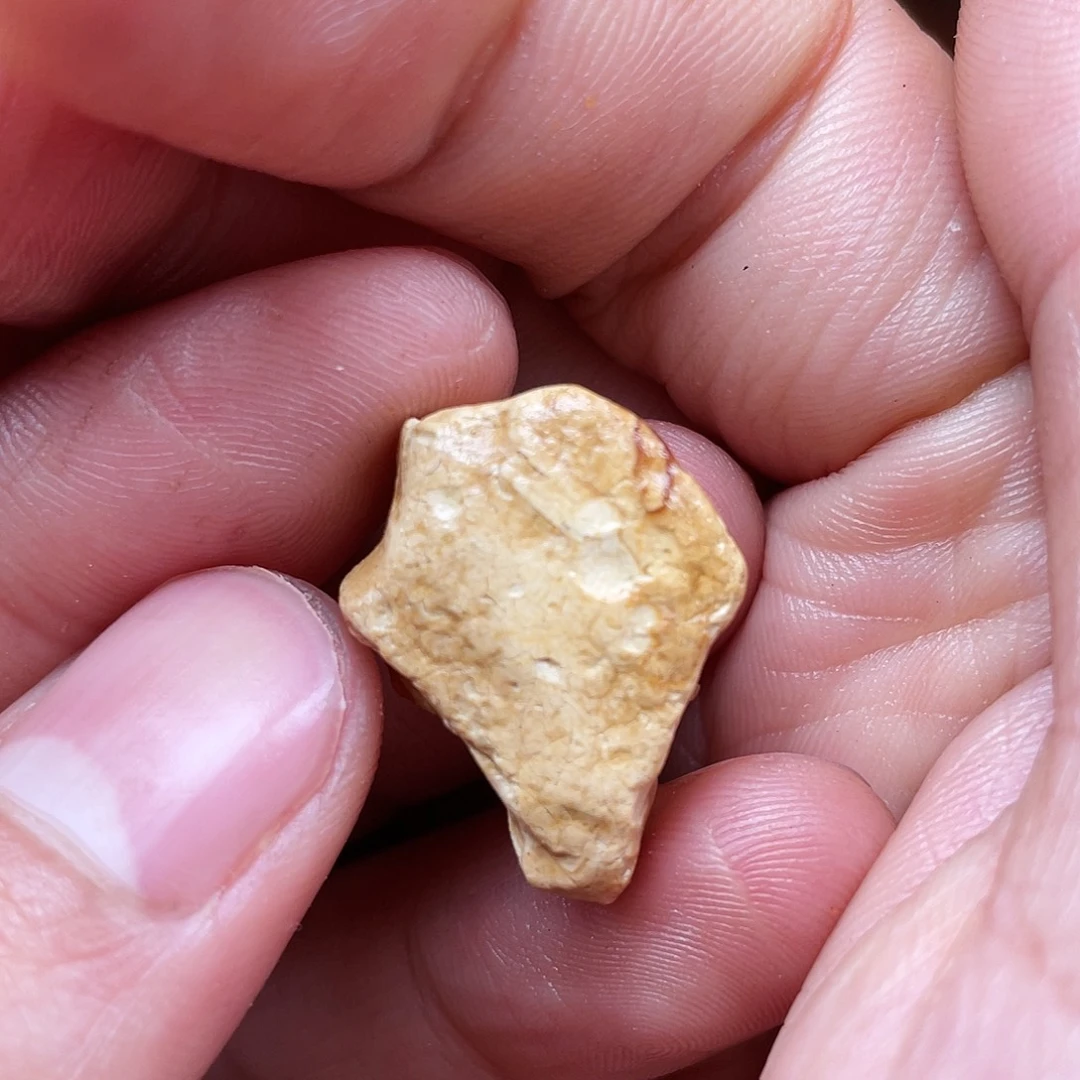 拖***贝定制琥珀未镶嵌天然蜜蜡