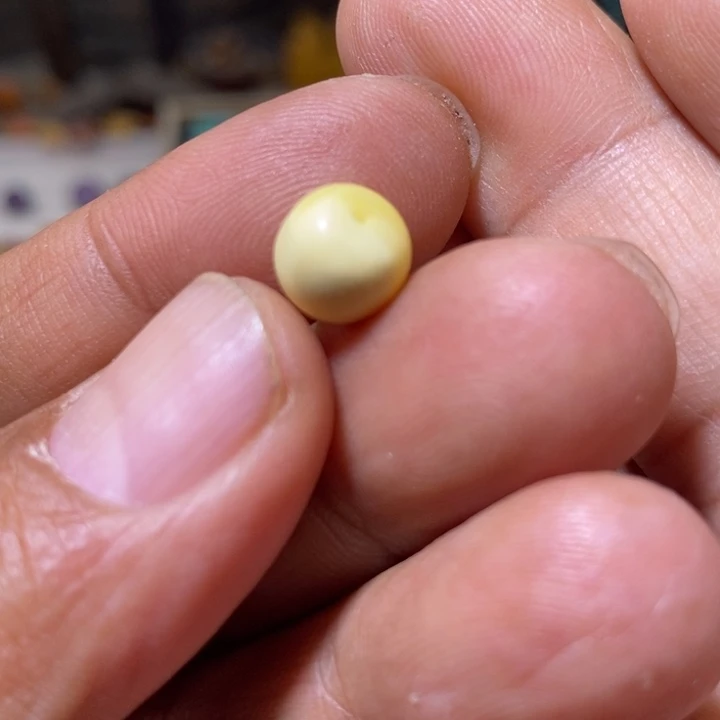 蜜蜡裸石未镶嵌配饰