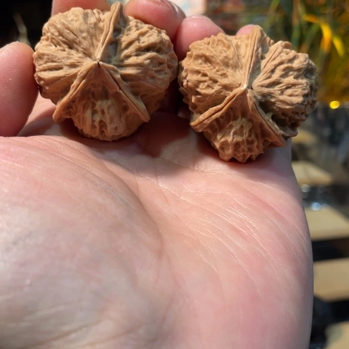 文玩核桃把件编号10