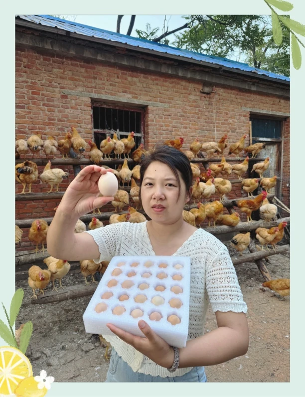 王娇家散养土鸡蛋新鲜无抗无激素粗粮谷物蛋