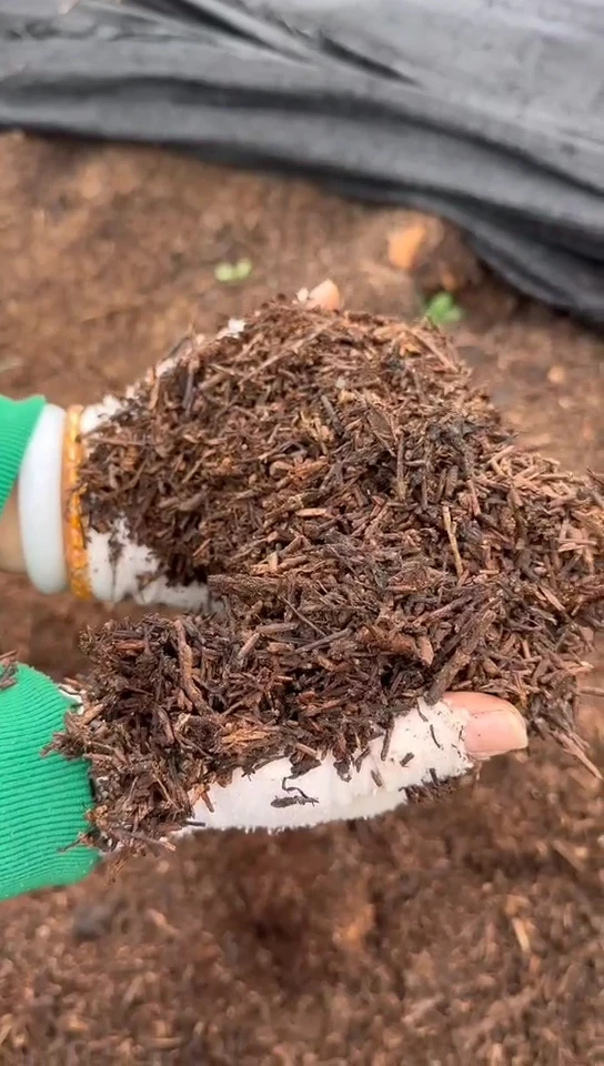 自然发酵中药渣肥养鸦养花10L通用型有机营养肥