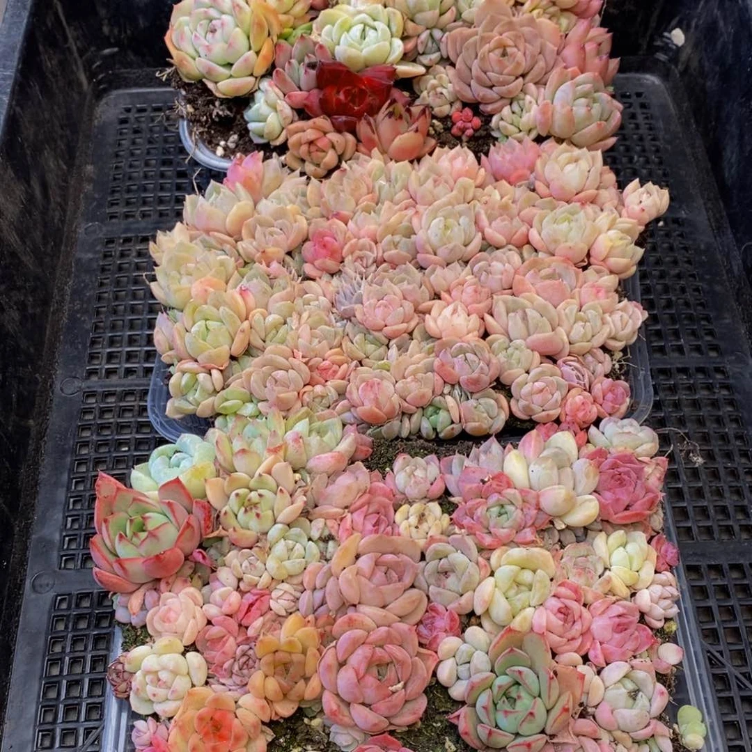 643多人在一起的时候