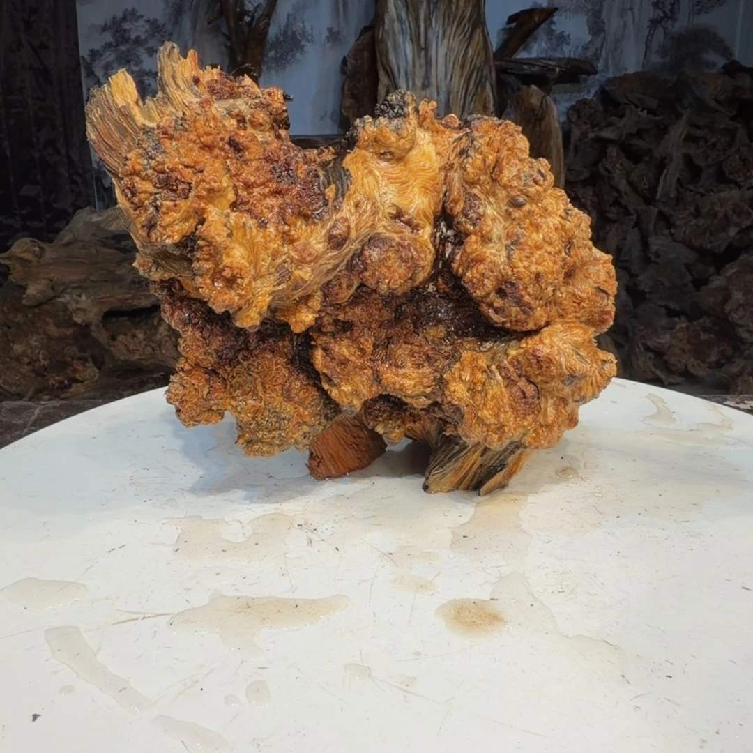 古***）木三丰琥珀木 天然摆件4