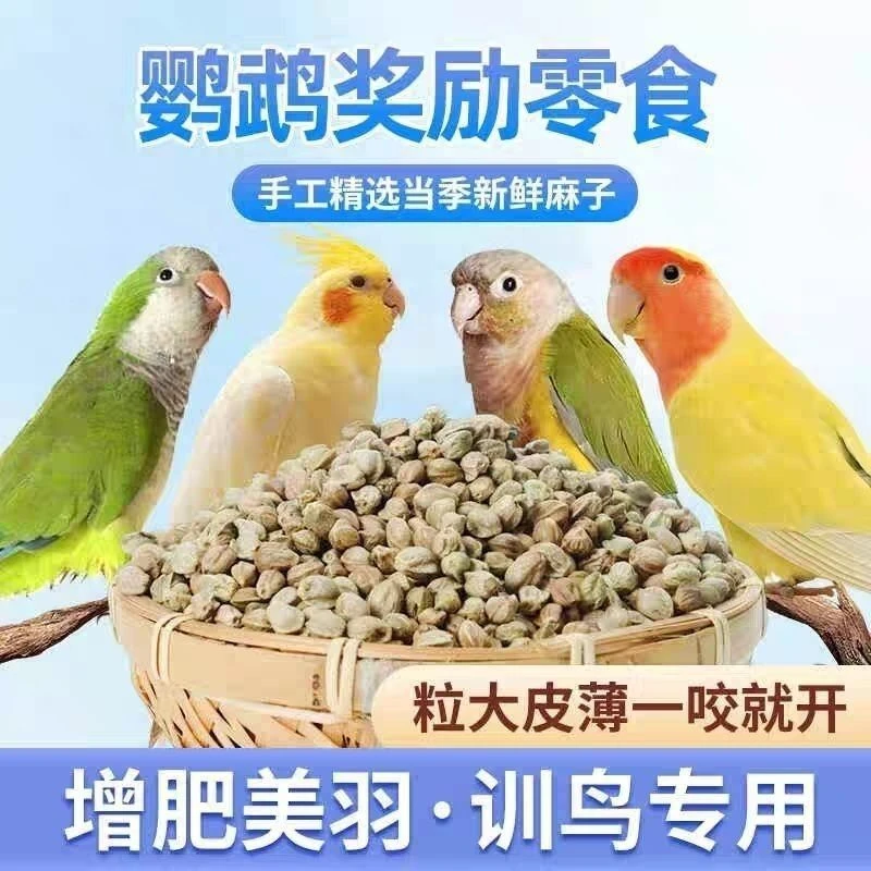 小鹦新货鸟粮纸壳麻子玄凤牡丹小太阳和尚鹦鹉奖励鸟零食增肥