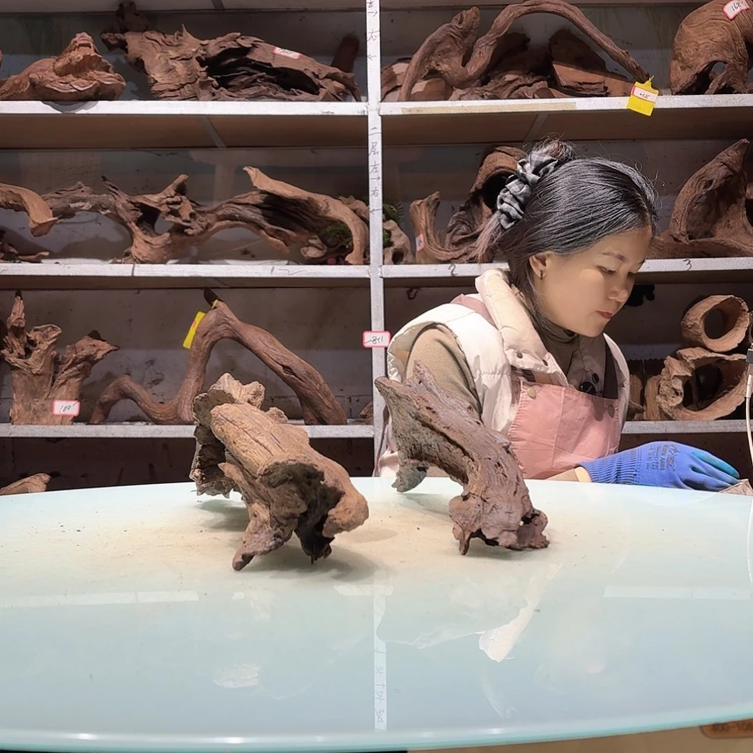 倍褚沉木不包损必褪色5657-5