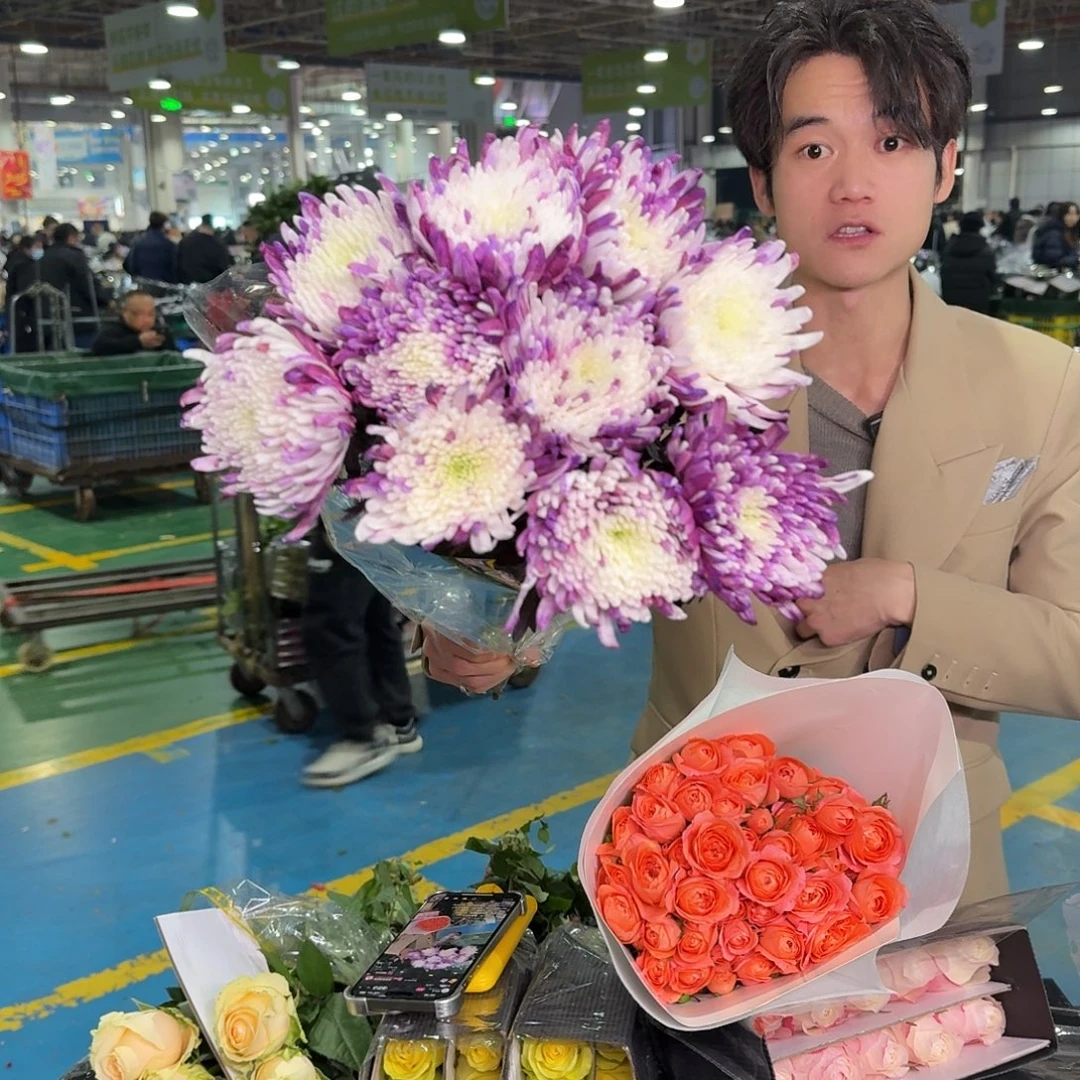 高品质吸色大菊10支