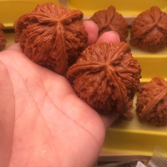 世***尘核桃核桃核桃核桃核桃咯