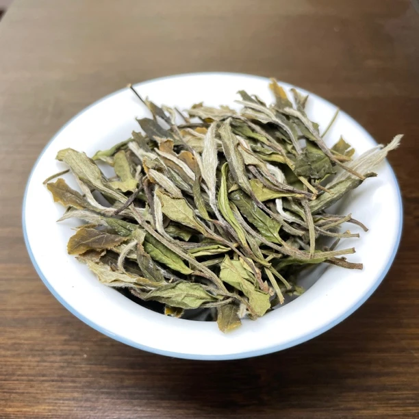 2023年华茶一号白牡丹 | 福鼎磻溪 | 花香蜜韵