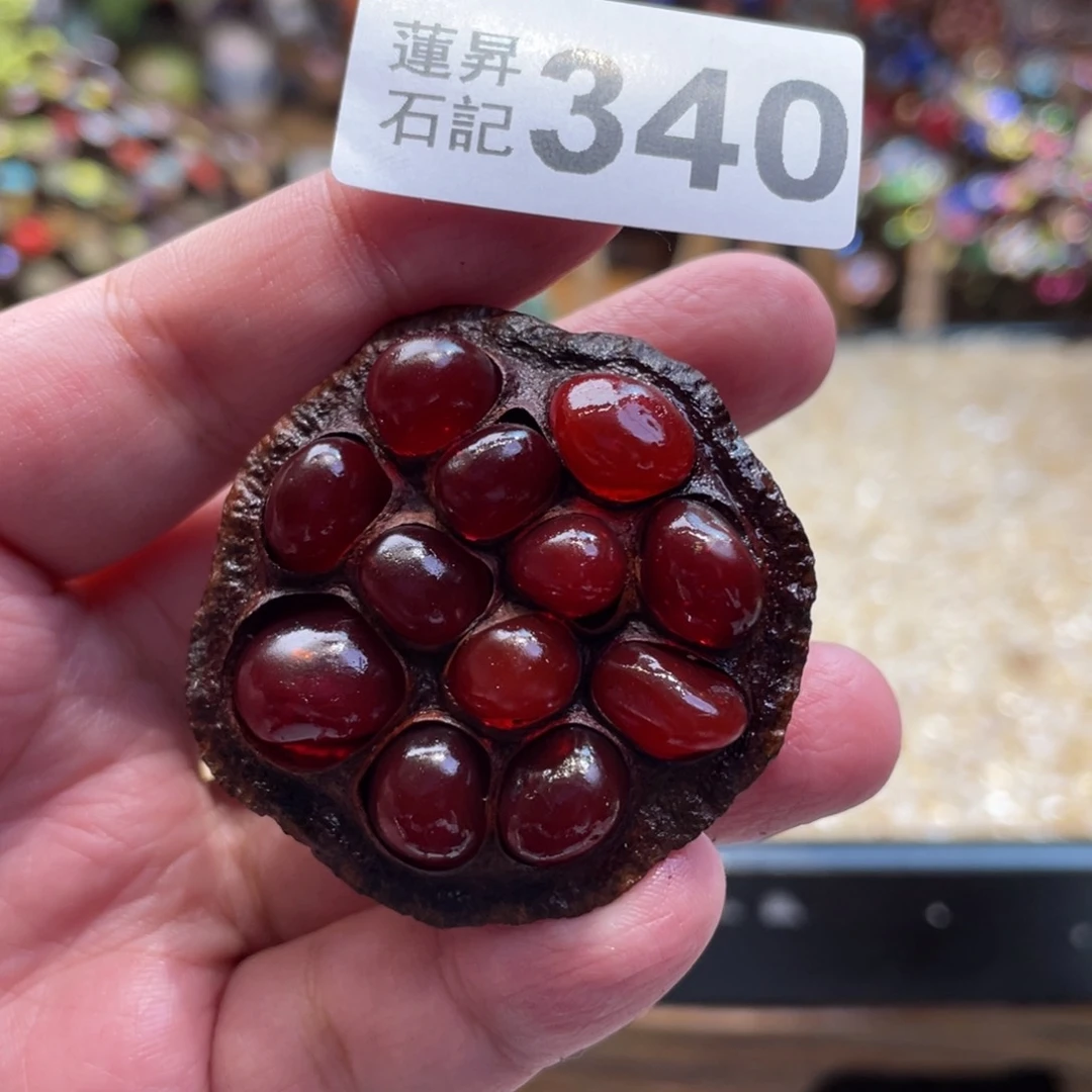 核桃木/黑胡桃（胡桃木）340