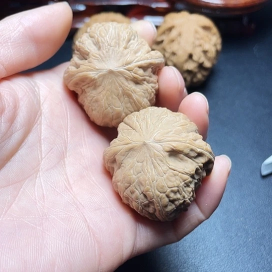 大叶紫檀（黑酸枝木类）秋*