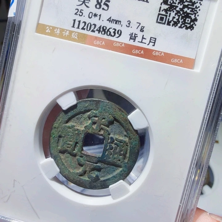 铜DX评级币一个……8639
