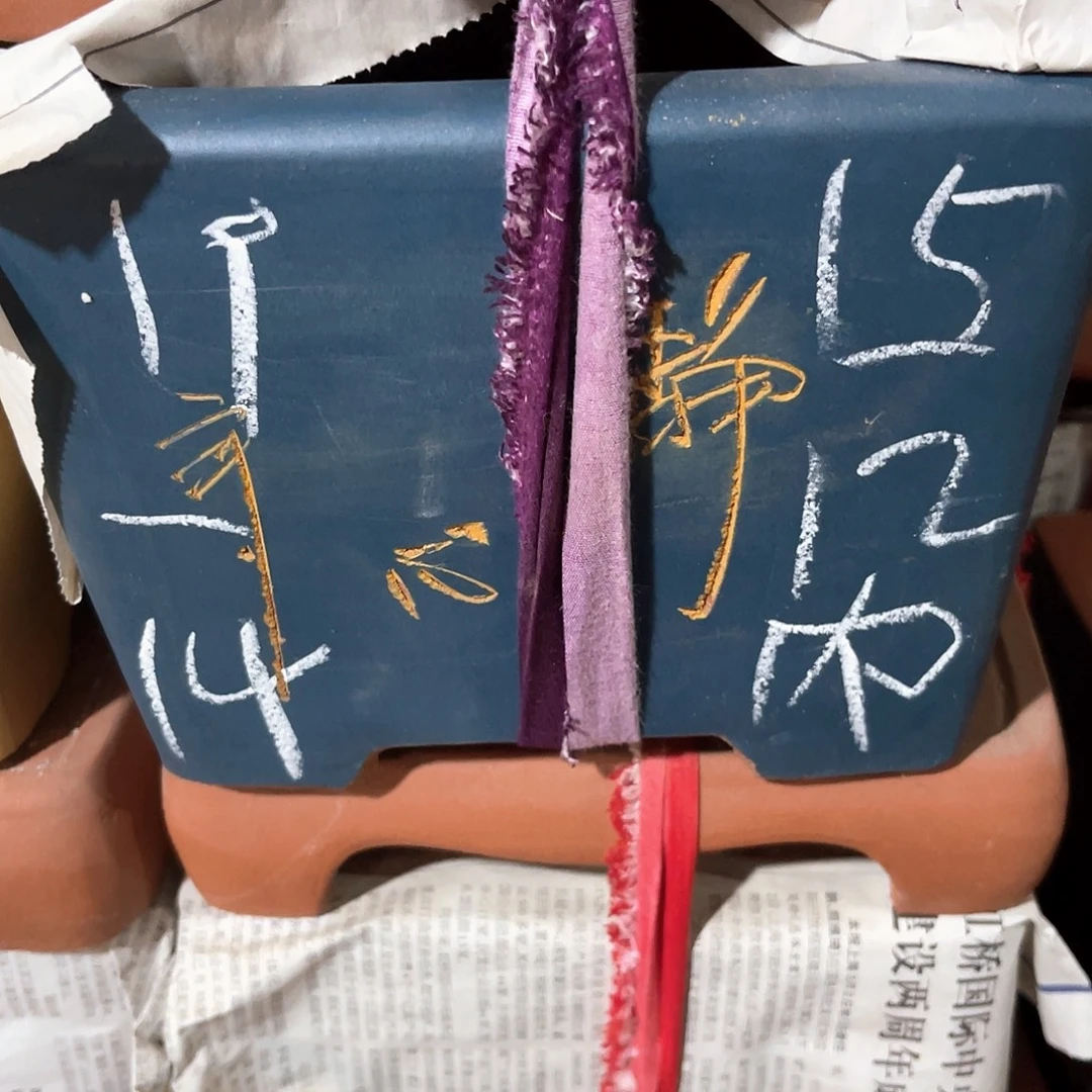紫砂花盆四方一个