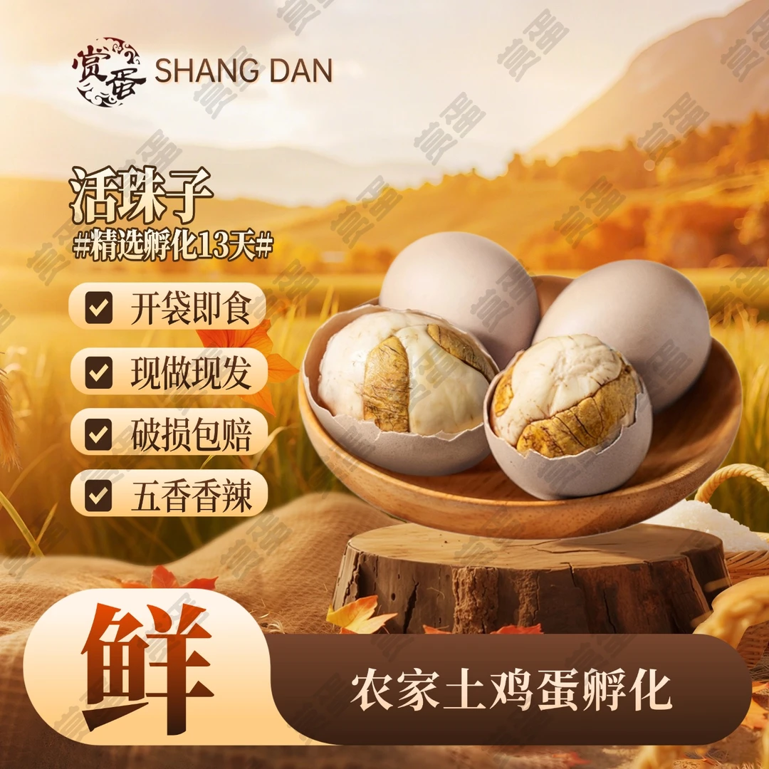 新鲜13天正宗活珠子五香开袋即食香辣味钢化蛋真空营养鸡胚蛋