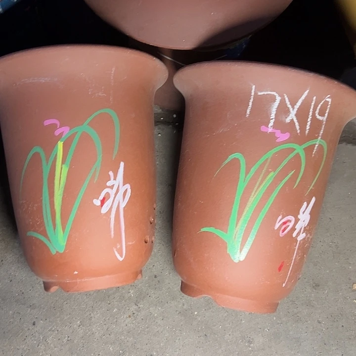 周深周深周深周深