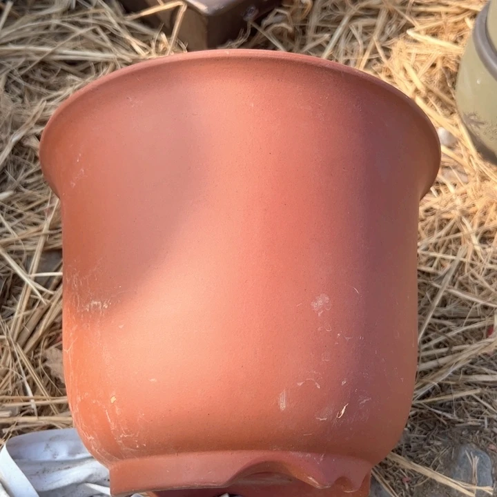 红陶紫砂碗盆口24