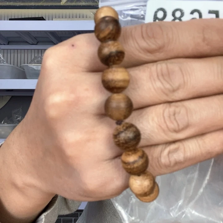 大果紫檀（缅甸花梨）老****活5689