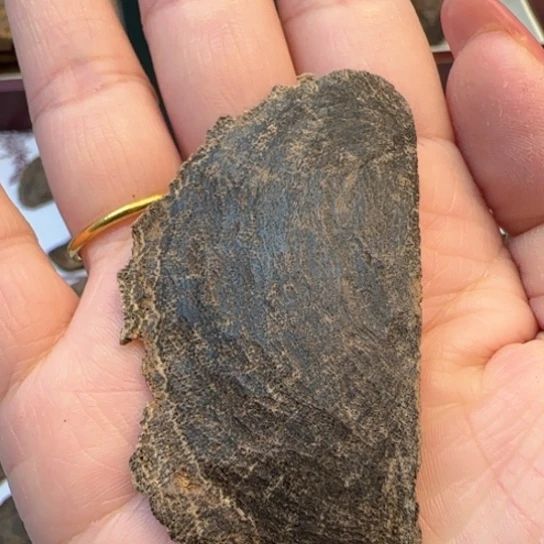 沉香摆件海南野生老头2.4克