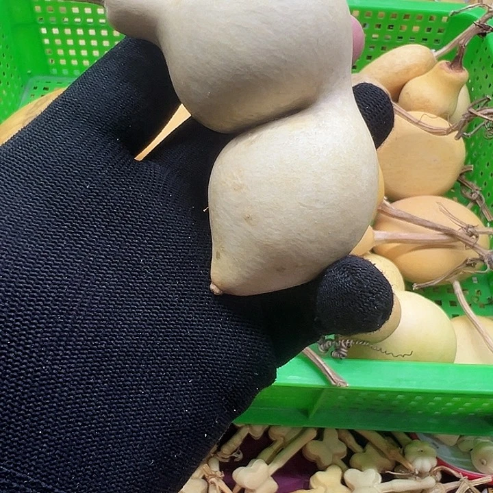 ?****友谢谢你的关心和支持和帮助