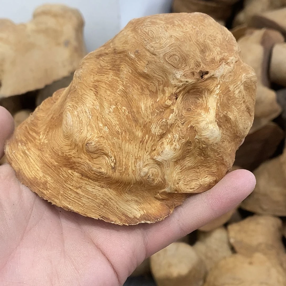 荔枝木三*荔枝木原料