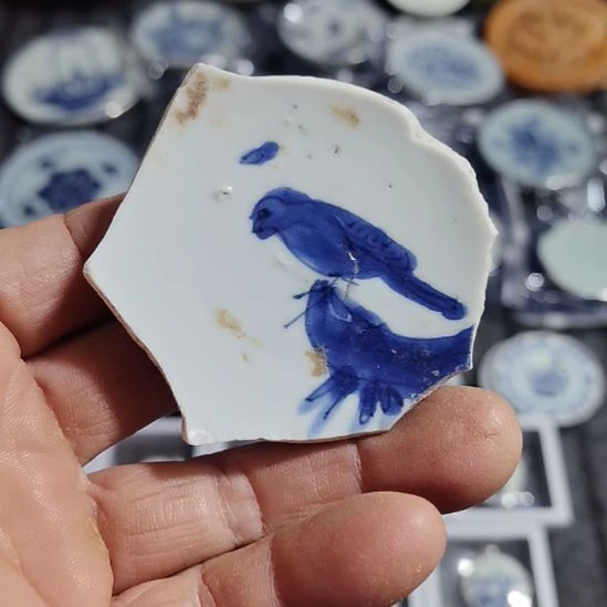 瓷片青花影青杯垫学习标本