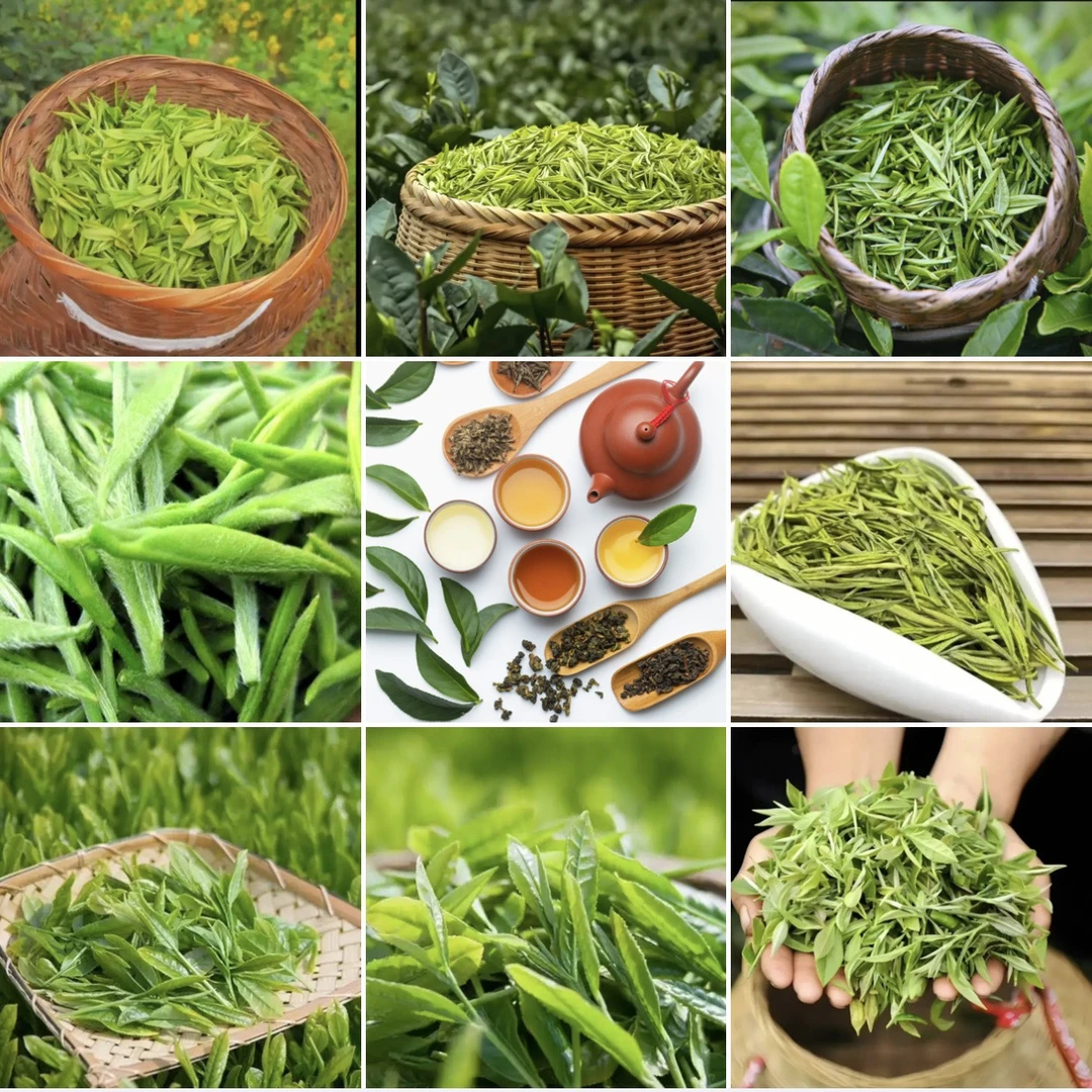 【阿雅专属】1028茶号60g