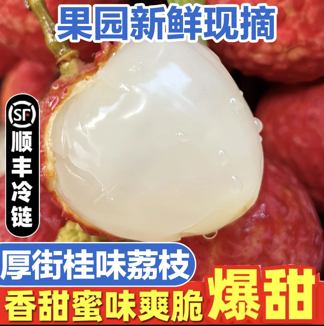 【省外专用】厚街桂味荔枝现摘广东荔枝当季新鲜果净重5斤顺丰包邮