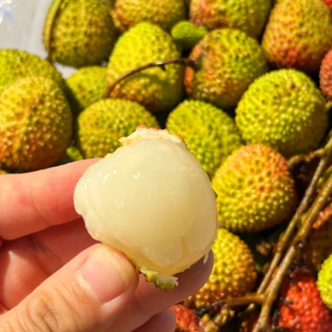 小时达妃子笑荔枝750g海南省