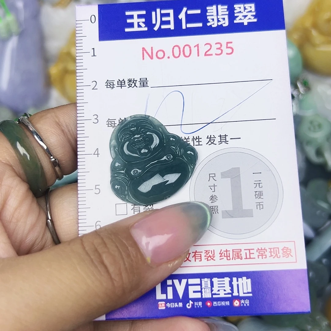 翡翠未镶嵌颈饰1