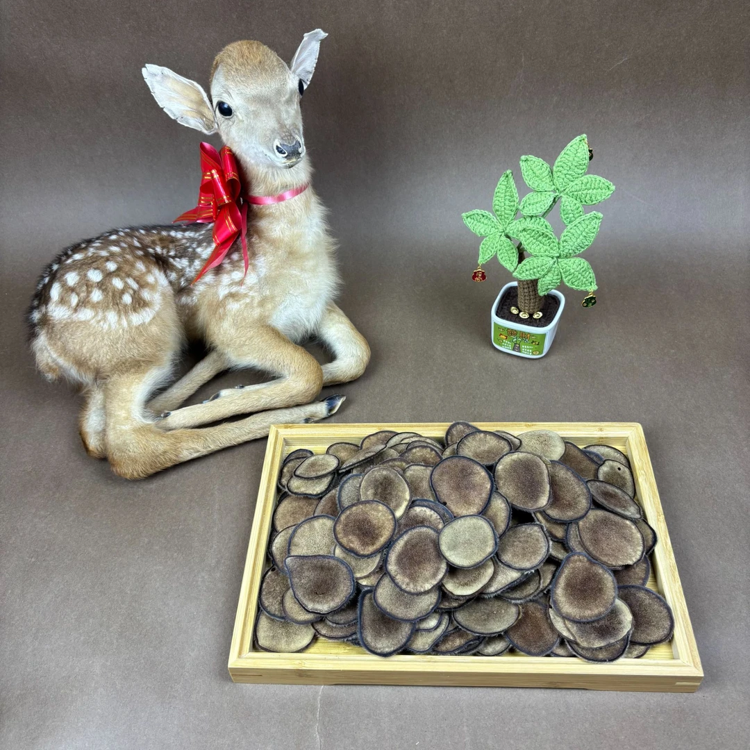 东北梅花鹿红粉片可用于泡酒煲汤打粉