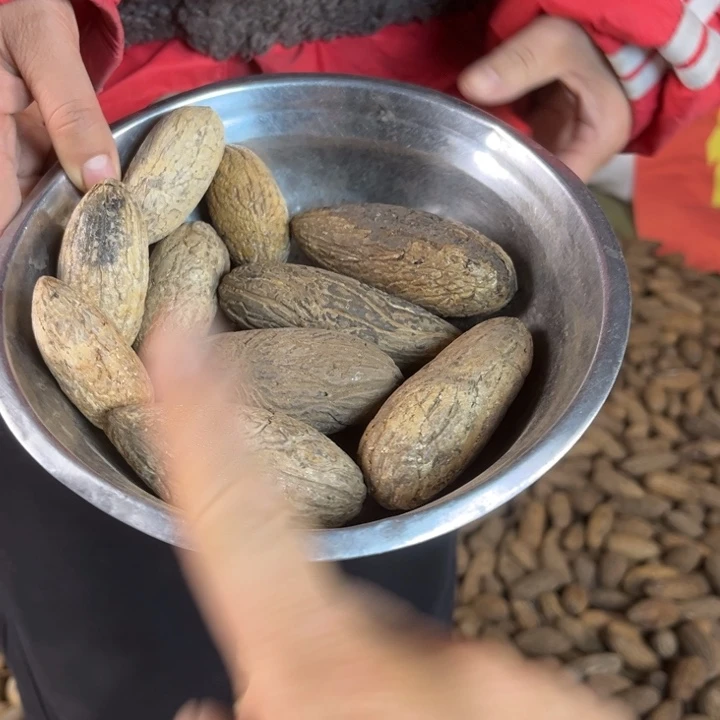 千眼菩提吊坠千眼菩提，5 个大的，5 个小的。