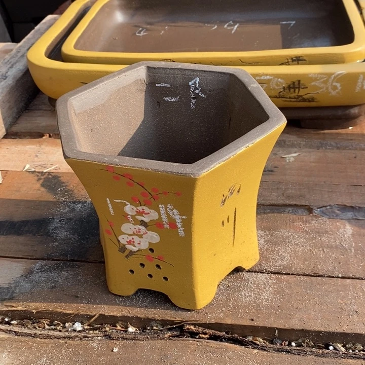 紫砂花盆自己的事情了