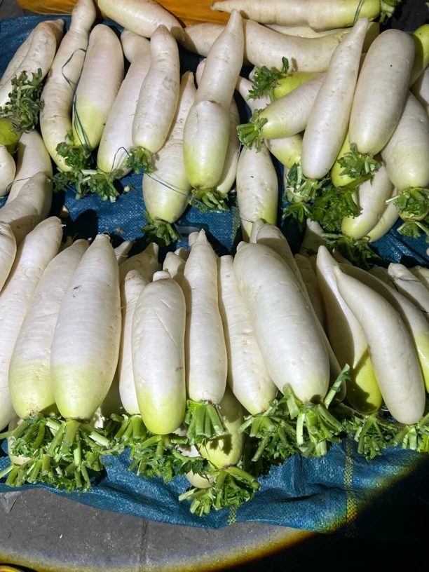 边城特产———农家白萝卜