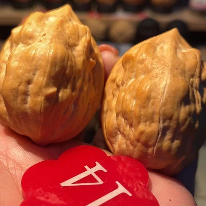 z***生菩提籽类马头琴41尺寸，树头毕业对