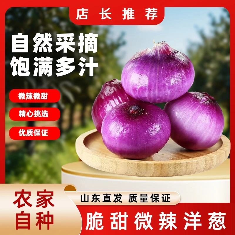 【脆甜水果洋葱】山东直发生吃微辣紫皮洋葱优质农产品正宗扁洋葱