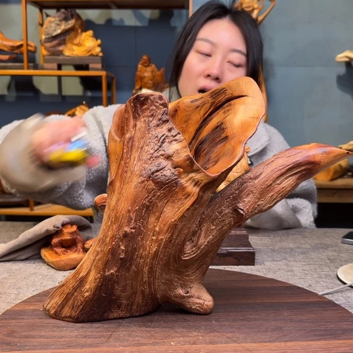 柏木（崖柏）关注一下
