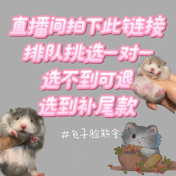【包子家】直播间排队定金 已脱敏甜美金丝熊