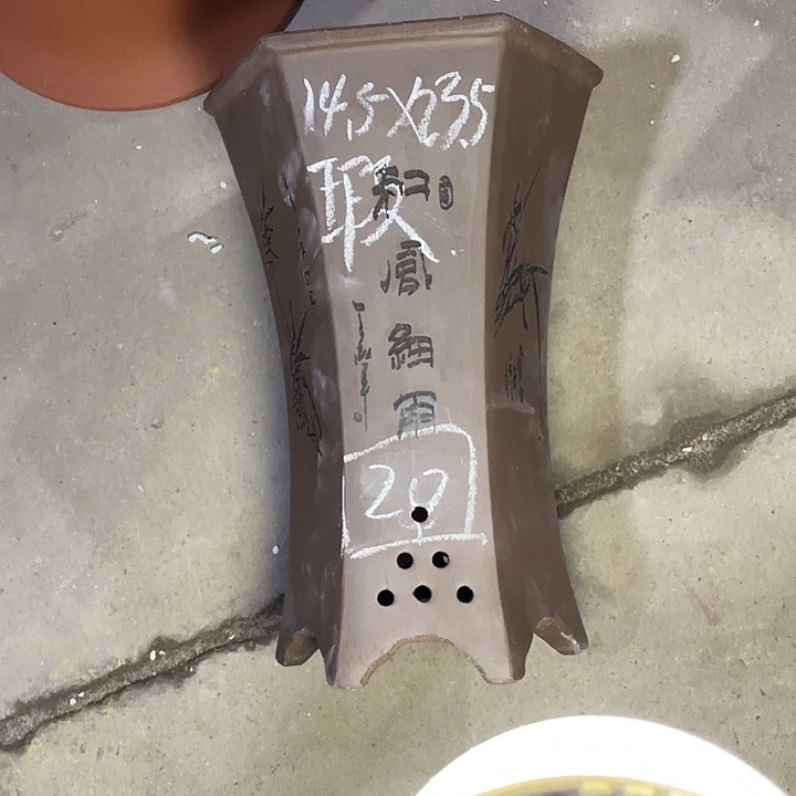 红陶紫砂紫砂x s x