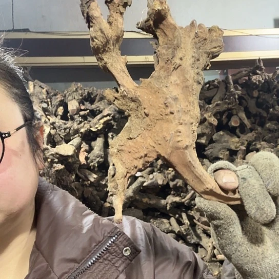 香榧木安*火琉璃的故事毛看看摆件