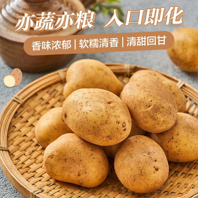 土豆 约500g/份