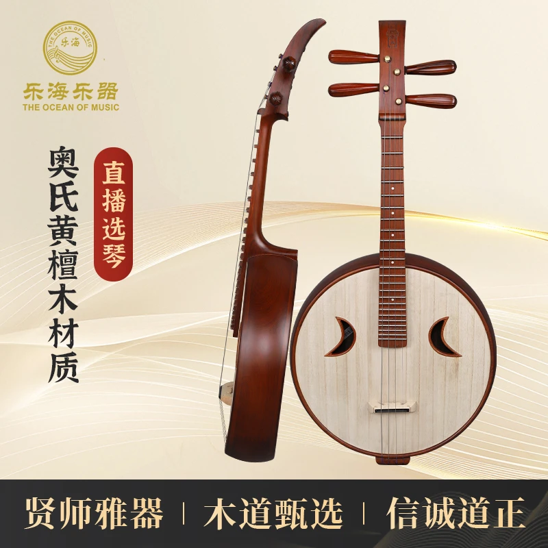乐海 中阮乐器专业演奏徐阳阮族奧氏黄檀木材质钢品DWZ4