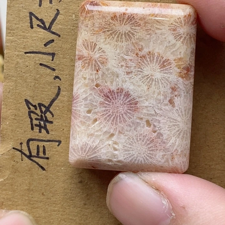 颈饰未镶嵌硅化珊瑚（珊瑚玉）